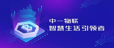 中一物聯(lián)應邀出席2019中意創(chuàng)新發(fā)展峰會，共筑南京科技名城新藍圖