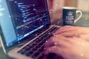 你真的適合學習編程嗎？信息科技領域技術開發職業探索指南